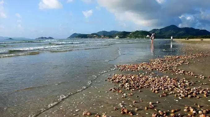 鼓浪屿现世外桃源美景,广东鼓浪屿