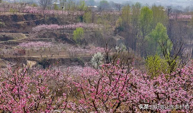 济南市五一假期游玩,济南旅游活动