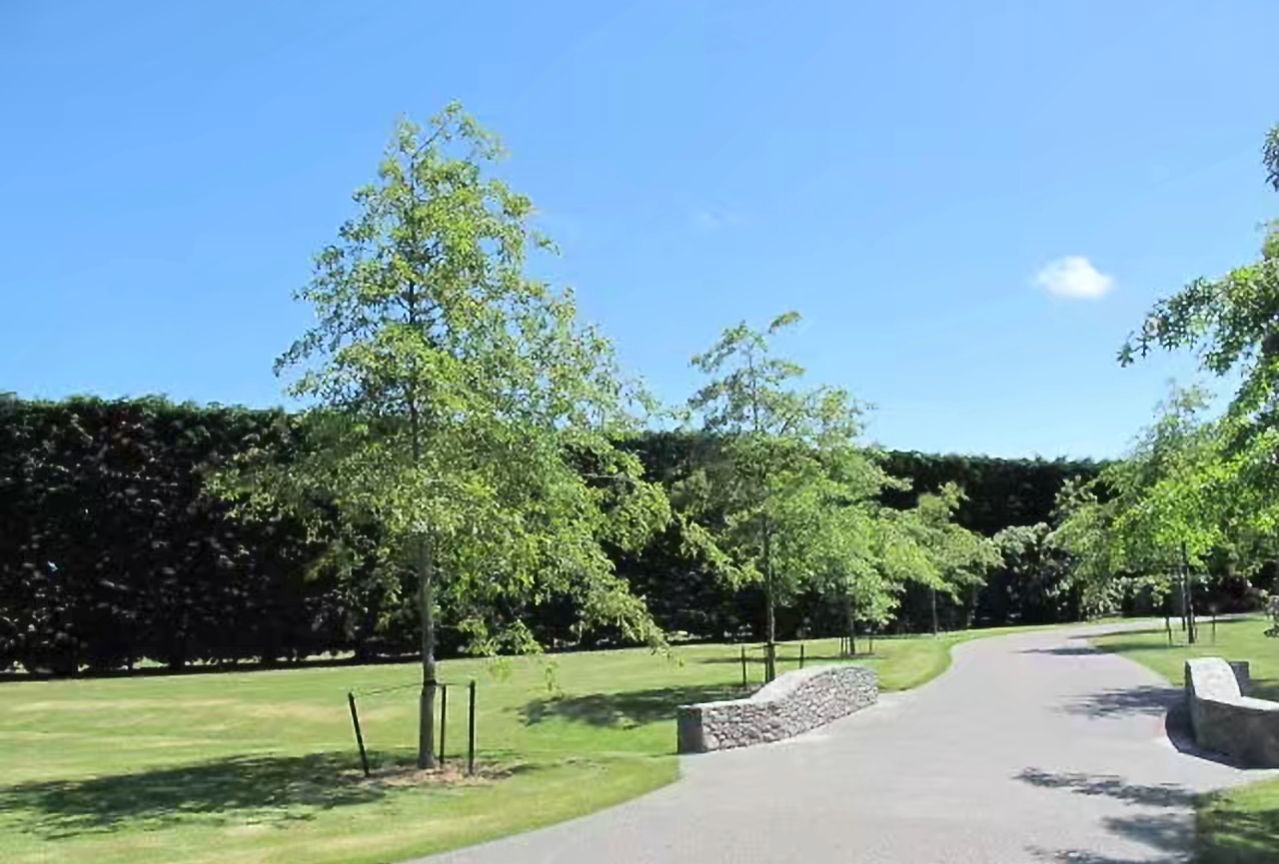 从新西兰的甜椒论个卖看我国农民如何挣钱：高品质高价格