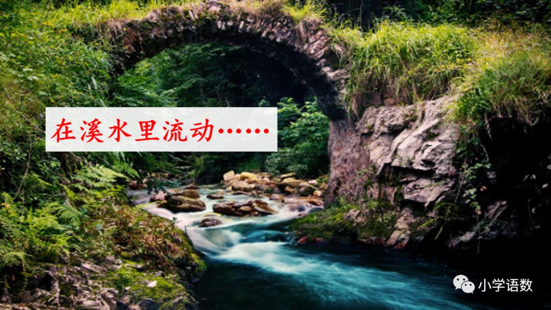 二年级下册语文彩色的梦教学视频,二年级语文下册彩色的梦教材全解