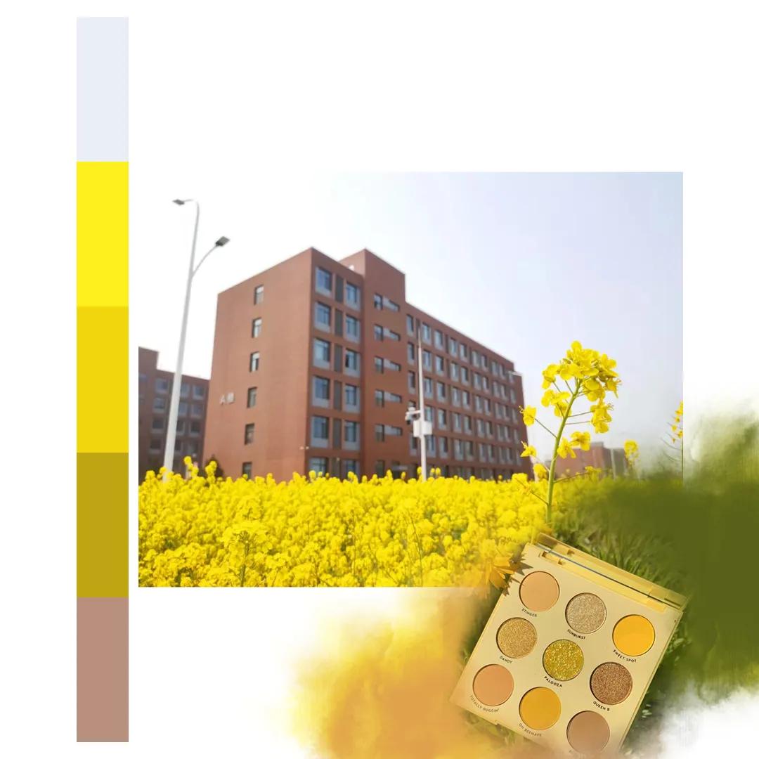 鐩存挱閭兏娌冲寳宸ョ▼澶у,娌冲寳宸ョ▼澶у缇庡