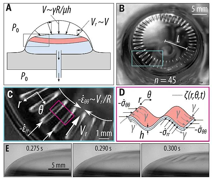 才下又上,nature期刊最新封面