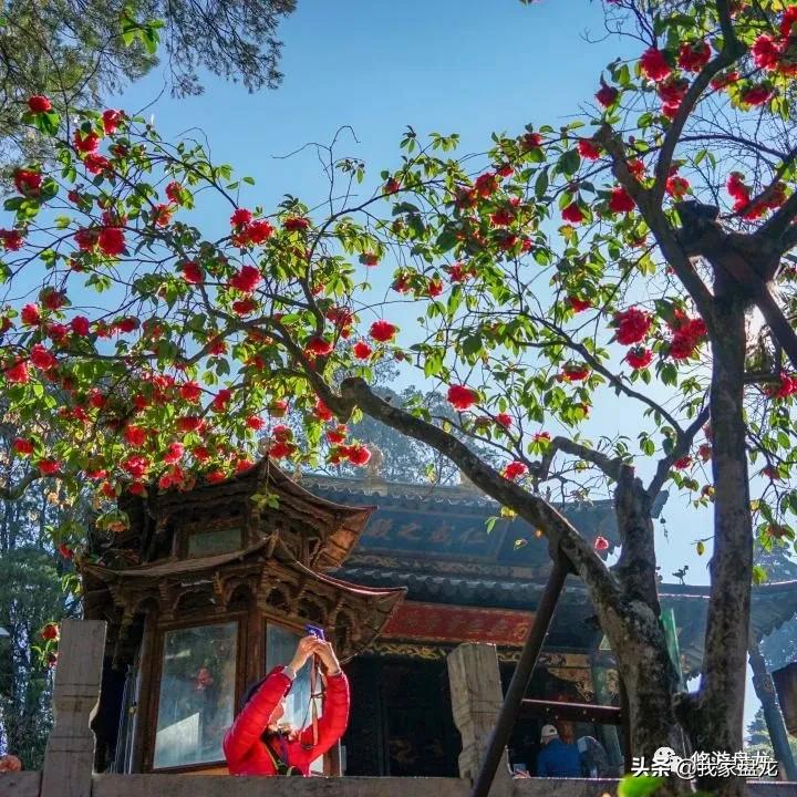 100张照片一百种幸福,100张图片带你去云南