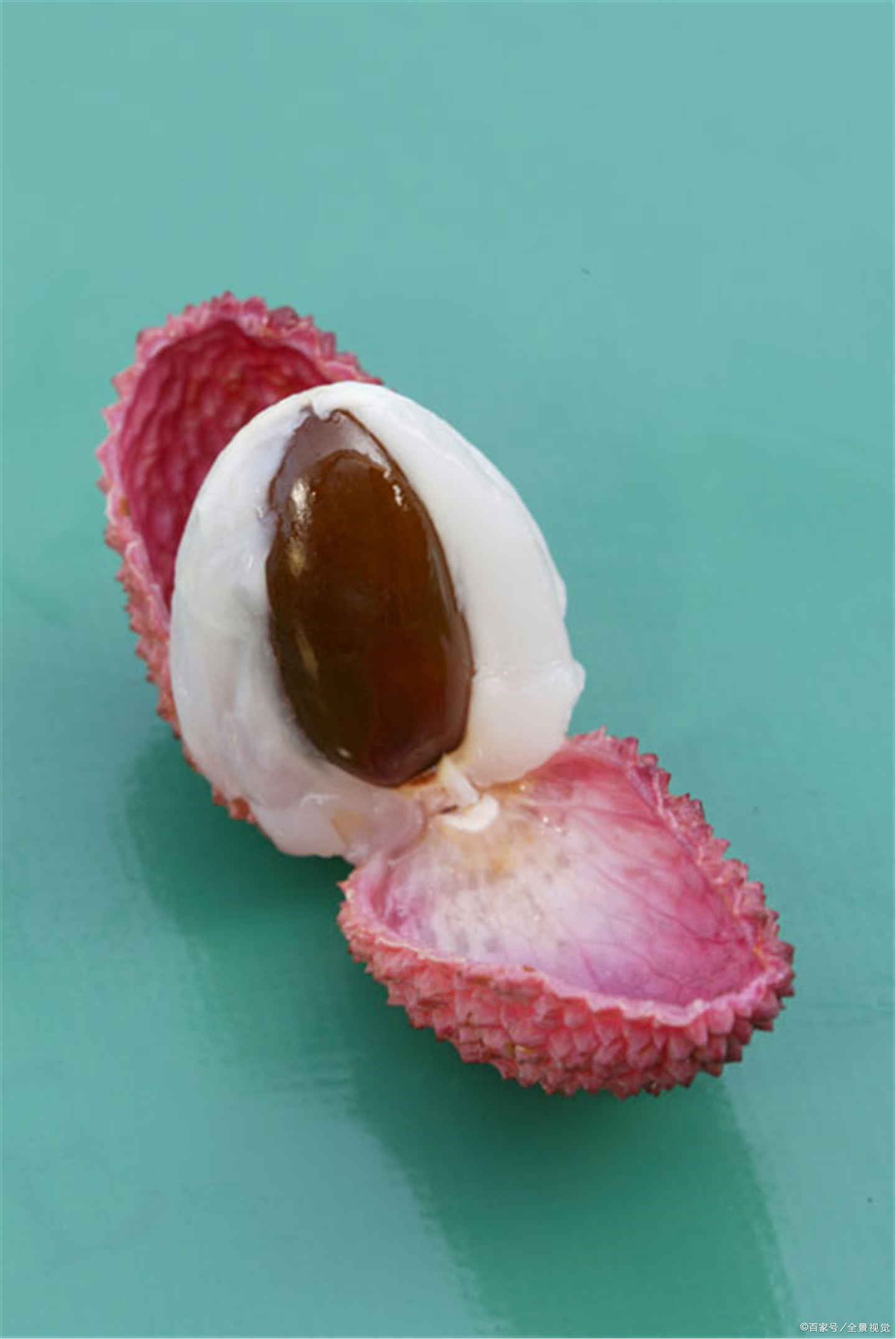 荔枝穿越史——一颗荔枝背后的历史余韵