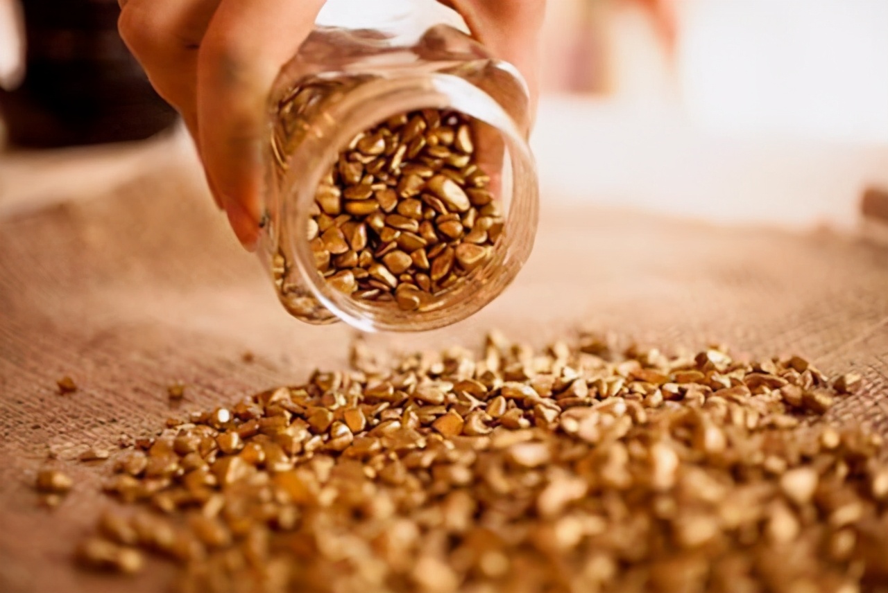 外蒙古黄金便宜吗,外蒙古软黄金