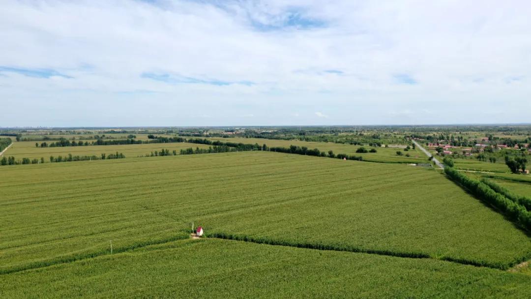 奈曼扶贫一点通,奈曼百企帮百村扶贫