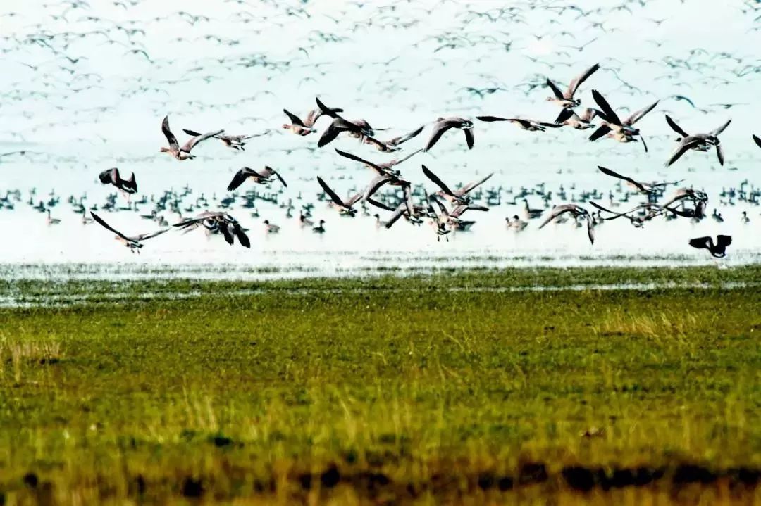 安徽最值得打卡的十大旅行地,安徽十大最好玩的山