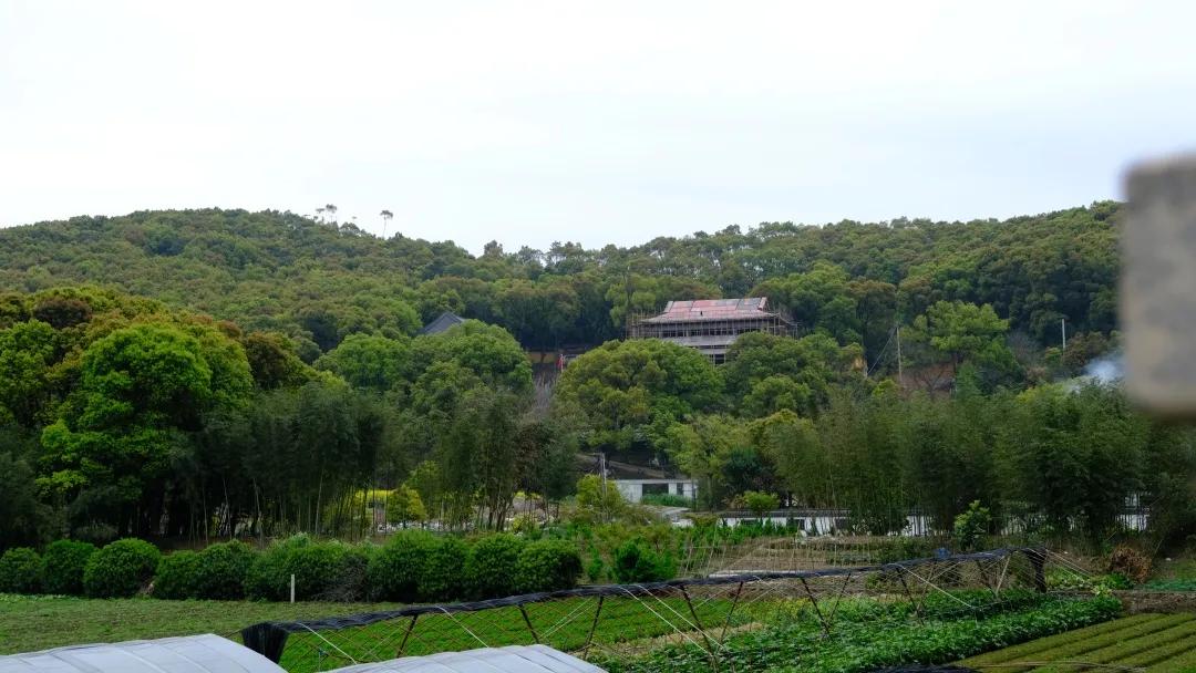 朝闻天下楼盘为什么这么便宜,潮闻天下房价