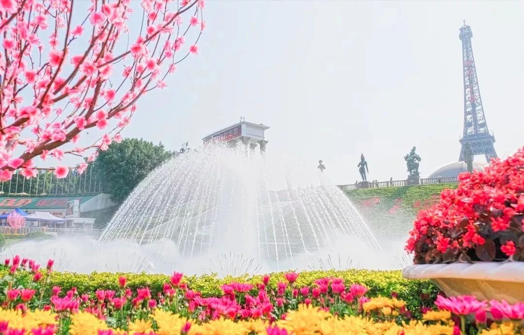 深圳龙华适合小孩子玩的免费景点,深圳适合一日游好玩的地方推荐