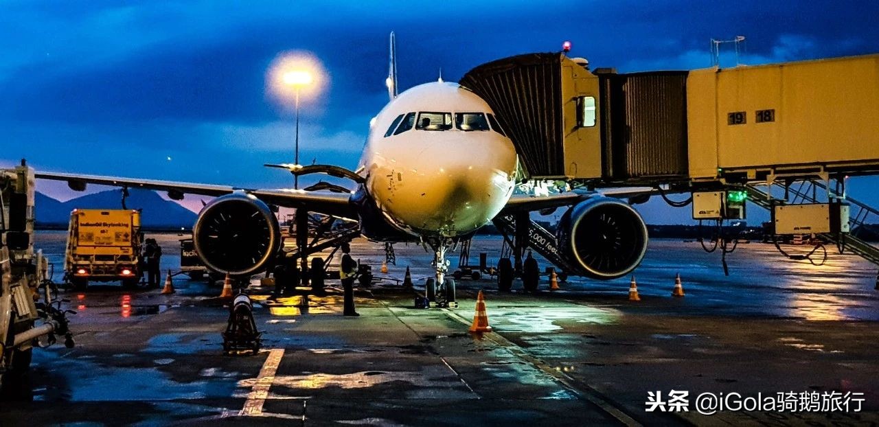 廉航低成本航空,廉航与普通航空选择