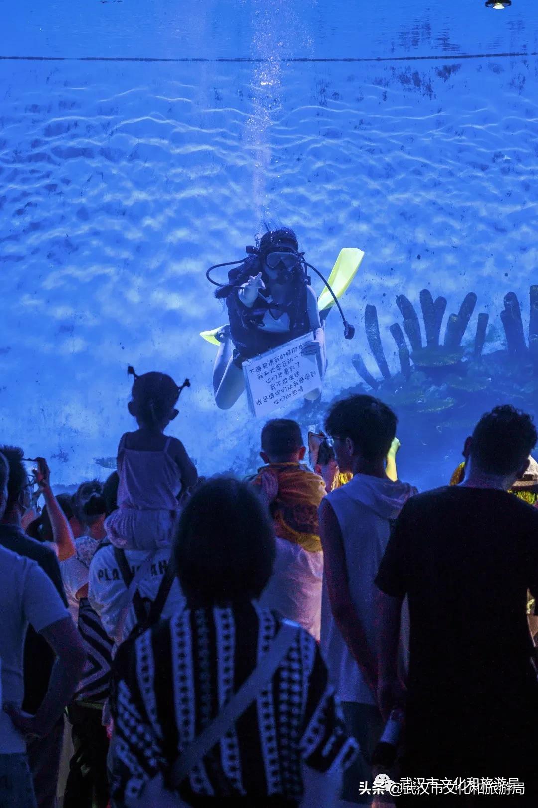 海洋馆武汉冬天,武汉伢周游世界