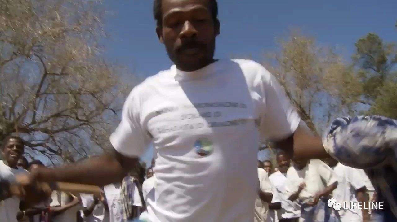 龟中“考拉”，请别让我们的孩子在博物馆见到它们...