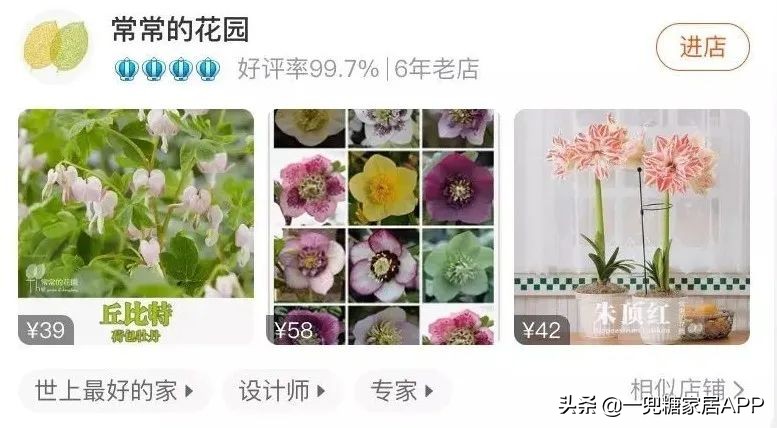 春天花会开|这20家植物淘宝店，植物杀手看了也想买！