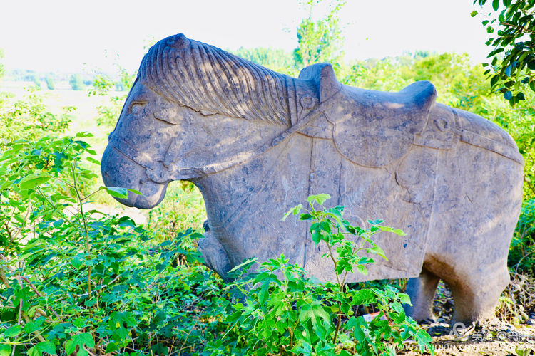 偃师巩义有哪些旅游景点,洛阳偃师旅游景点大全介绍