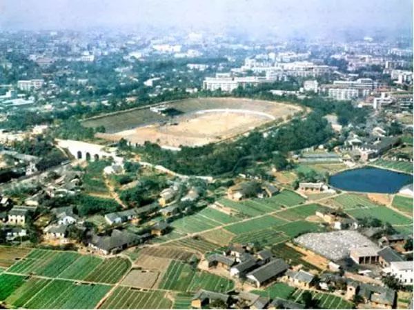 从懵懂无知的顽童到青年,从稚气未脱的少年到华丽蜕变