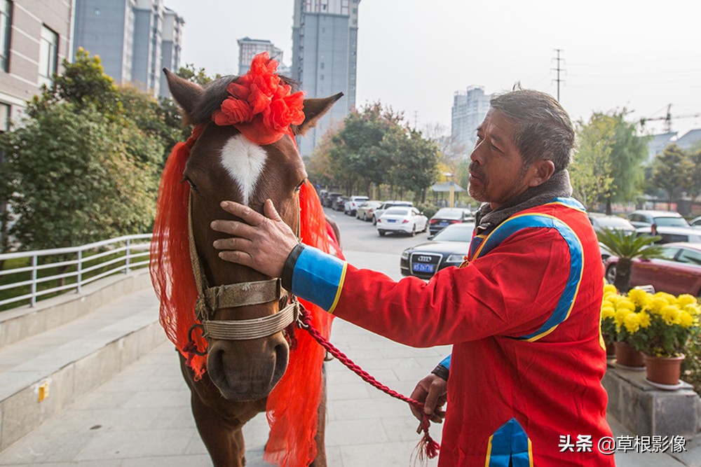 农村大叔擅长养马，靠头脑灵活补贴家用，挣钱方式多样