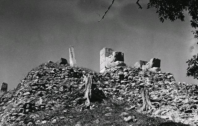 切格瓦拉理想是什么,关于切格瓦拉的故事