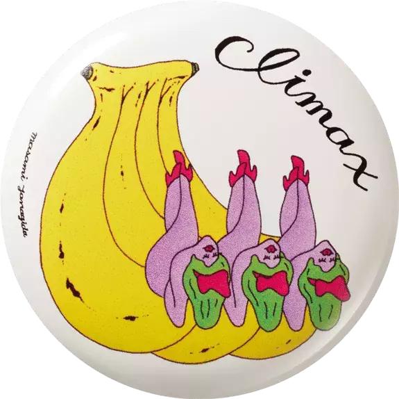 日本资生堂integrate完美意境蜜粉,资生堂integrategracy蜜粉