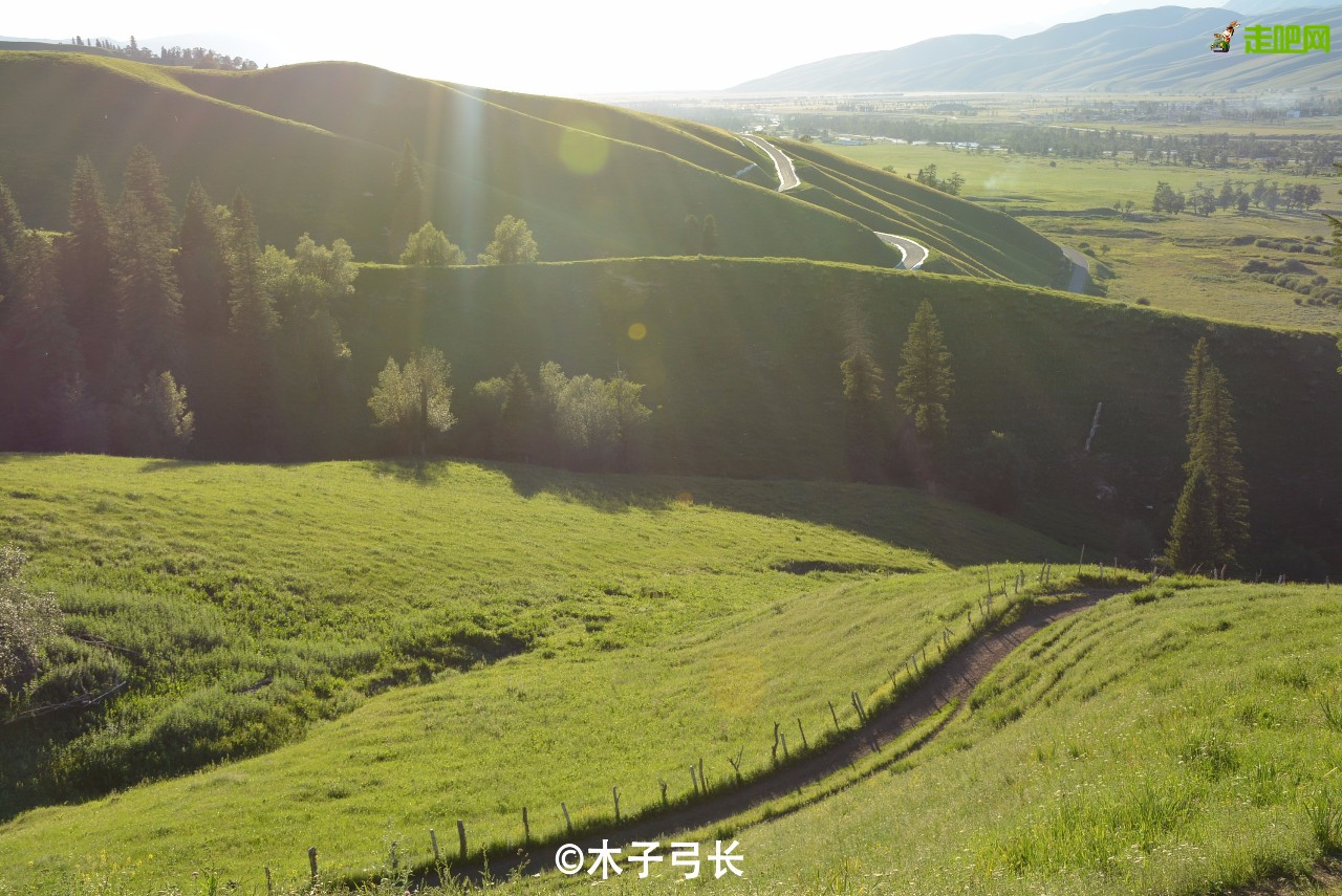 梵高画不出的向日葵,梵高画中的风景