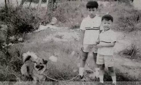 永远的黄家驹open亮声,永远的黄家驹