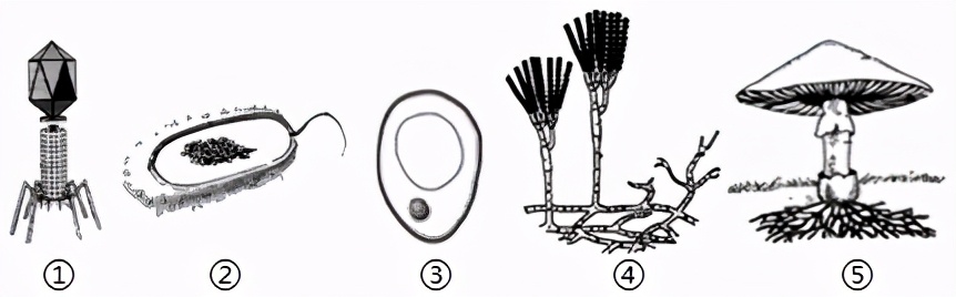 临沂2022生物会考答案,罗庄区生物一模试卷