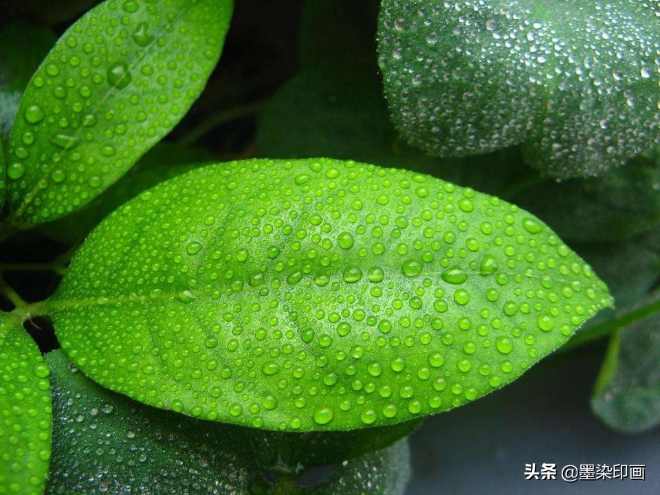 清明节拍摄风景图片,清明节全家踏青照片如何拍摄