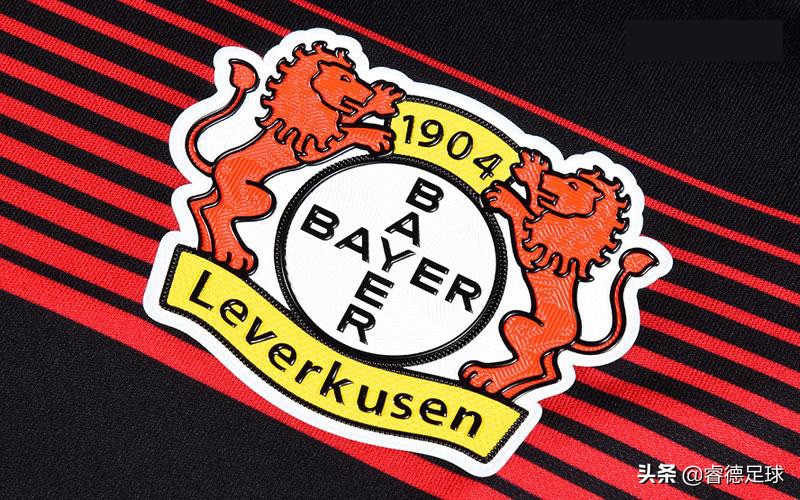 要与国际接轨？“拜耳条款”能不能救河南建业？