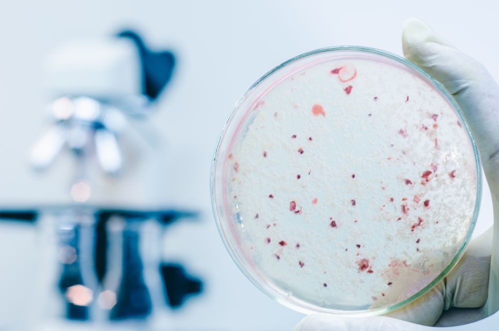 拆开洗衣机又脏又臭?教你一妙招,只需一泡,就把垃圾清空了