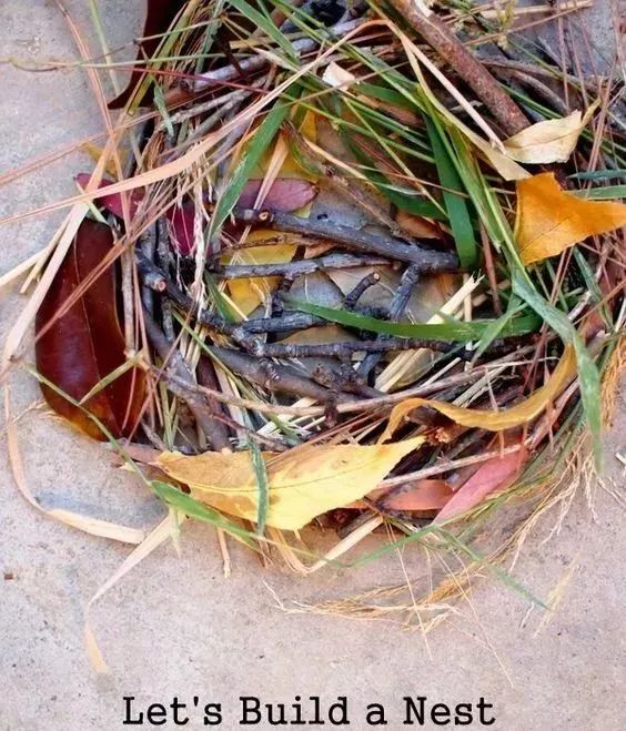 幼儿园用干树枝做成的手工,树枝创意100种手工画幼儿园