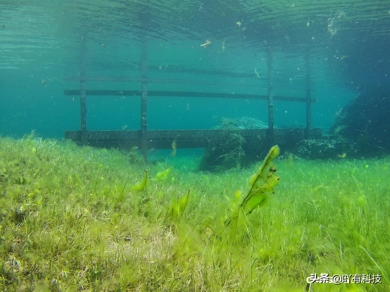 潜行多睿教程,潜行科技怎么样