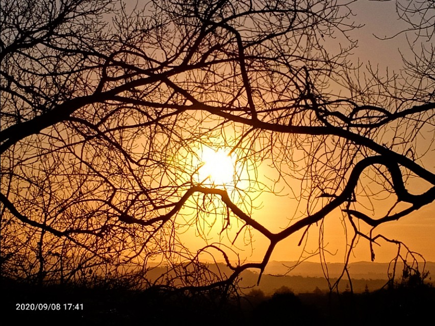 一树山,我的精神家园