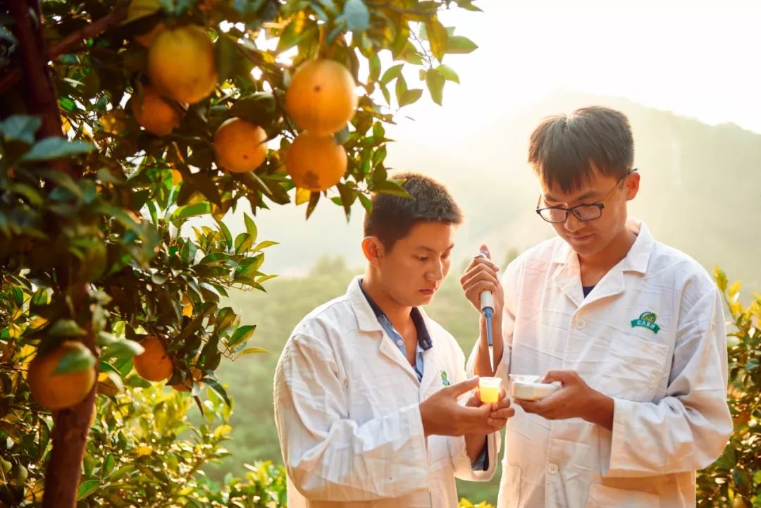 农夫山泉卖水的生意,农夫山泉卖水源