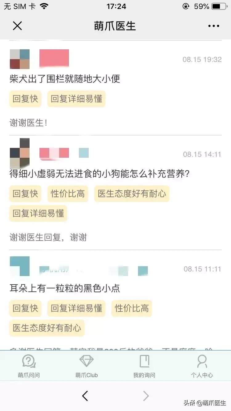 足不出户线上看诊,24小时猫病在线咨询