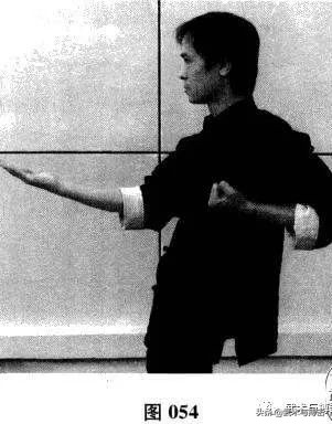 咏春八手招式完整版,咏春八手林正英完整版