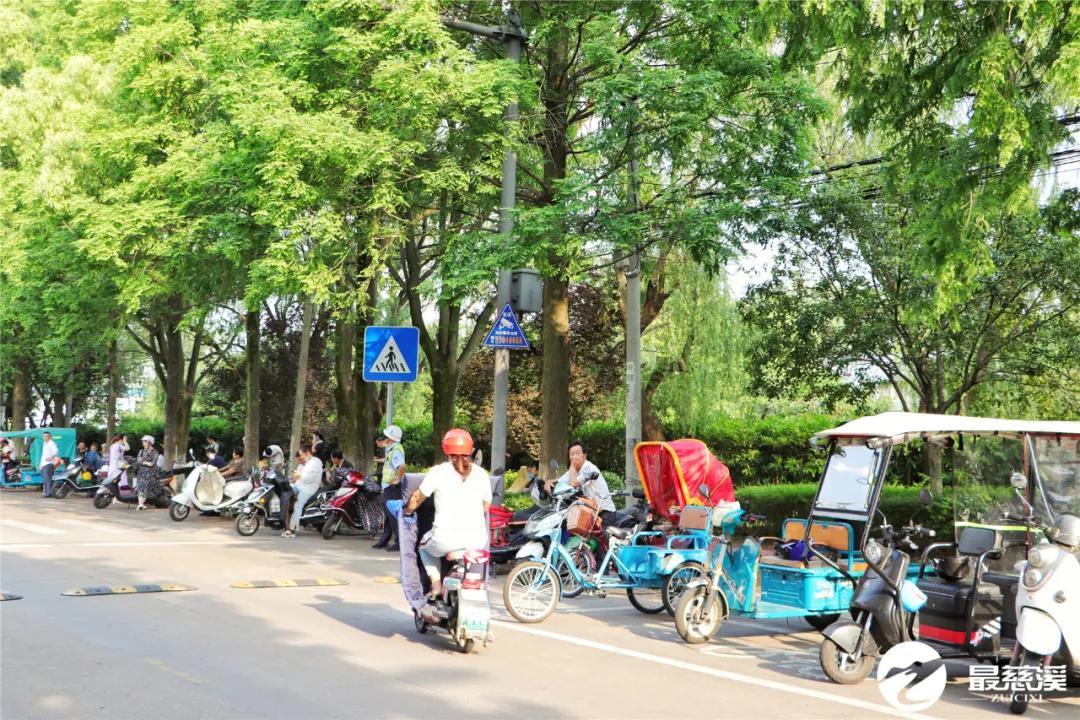 慈溪打听猫,慈溪要搬迁的村庄