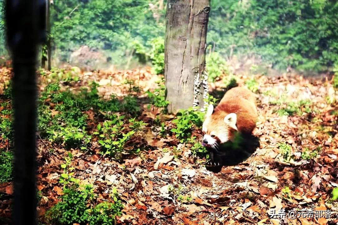 芝加哥周边小城旅游攻略,芝加哥旅游路线地图