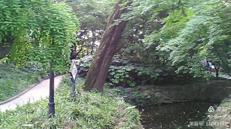 上海中山公园公寓,上海中山公园游玩攻略