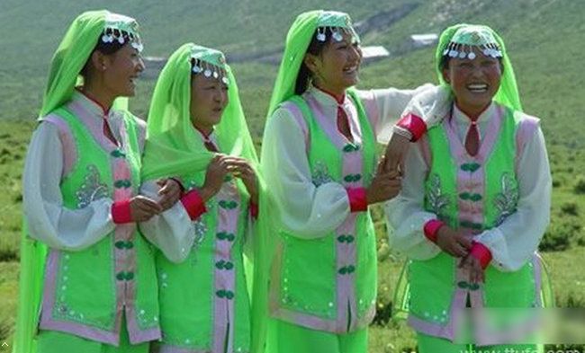 世界上人口最多的民族是哪个民族,56个民族人口排名前十名的民族是