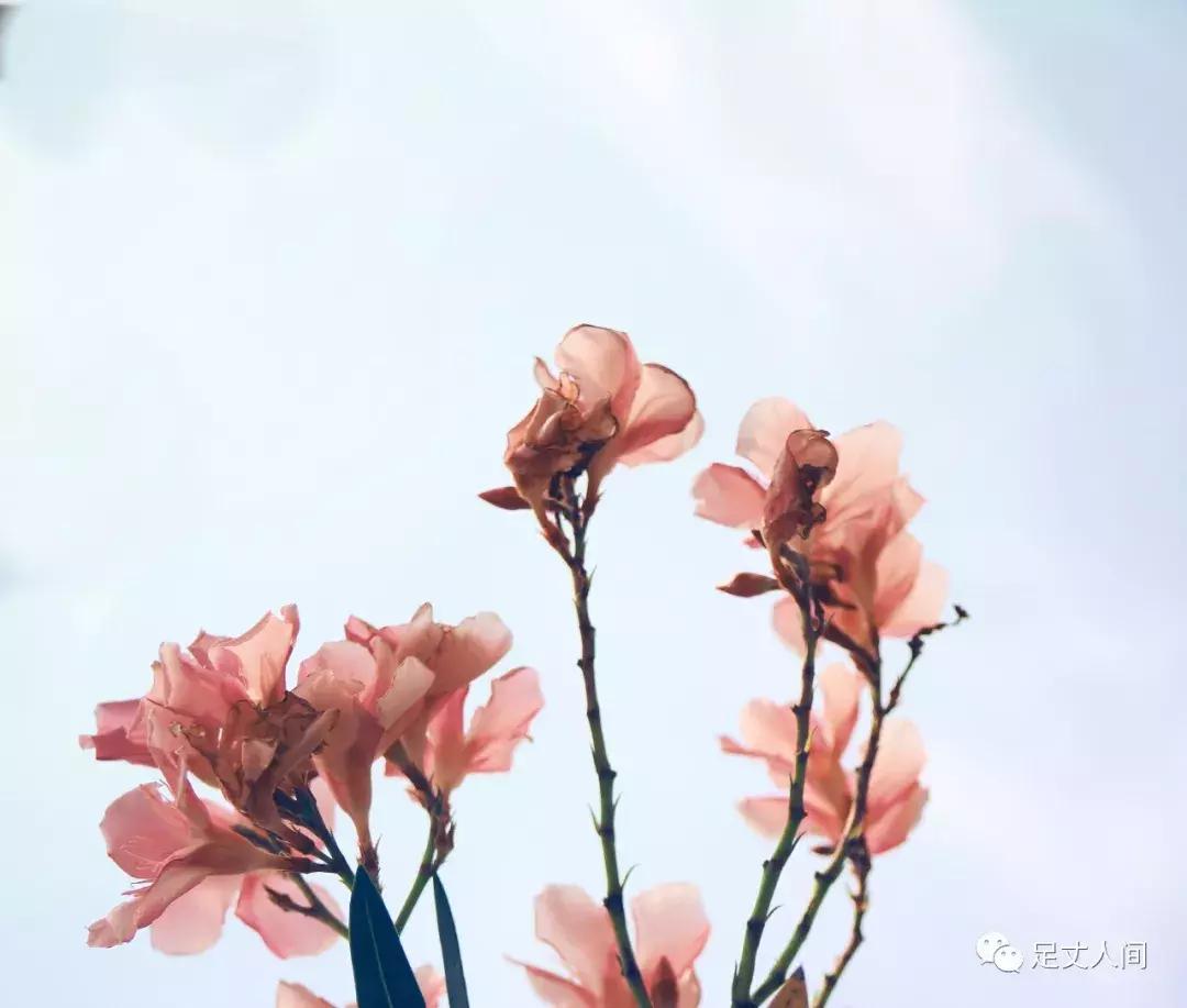 观澜版画村,观澜版画村生态艺术研学基地