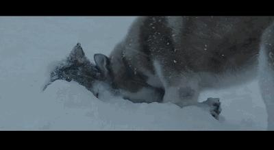 蒙太奇的手法分析,蒙太奇知识点讲解