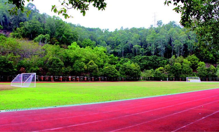 美在梅山-深圳市福田区梅山中学建校20周年志庆(2)