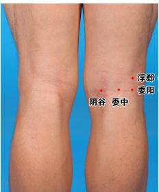 口臭脸油头发油喝什么茶,口臭脸油头发油吃什么药