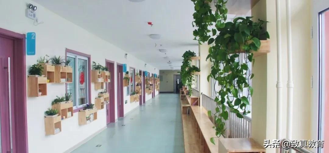 北京民办学校哪个好,北京民办学校排名2019