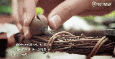 她31岁放弃北漂高薪，回归森林“捡垃圾”，用树叶打造出人间仙境