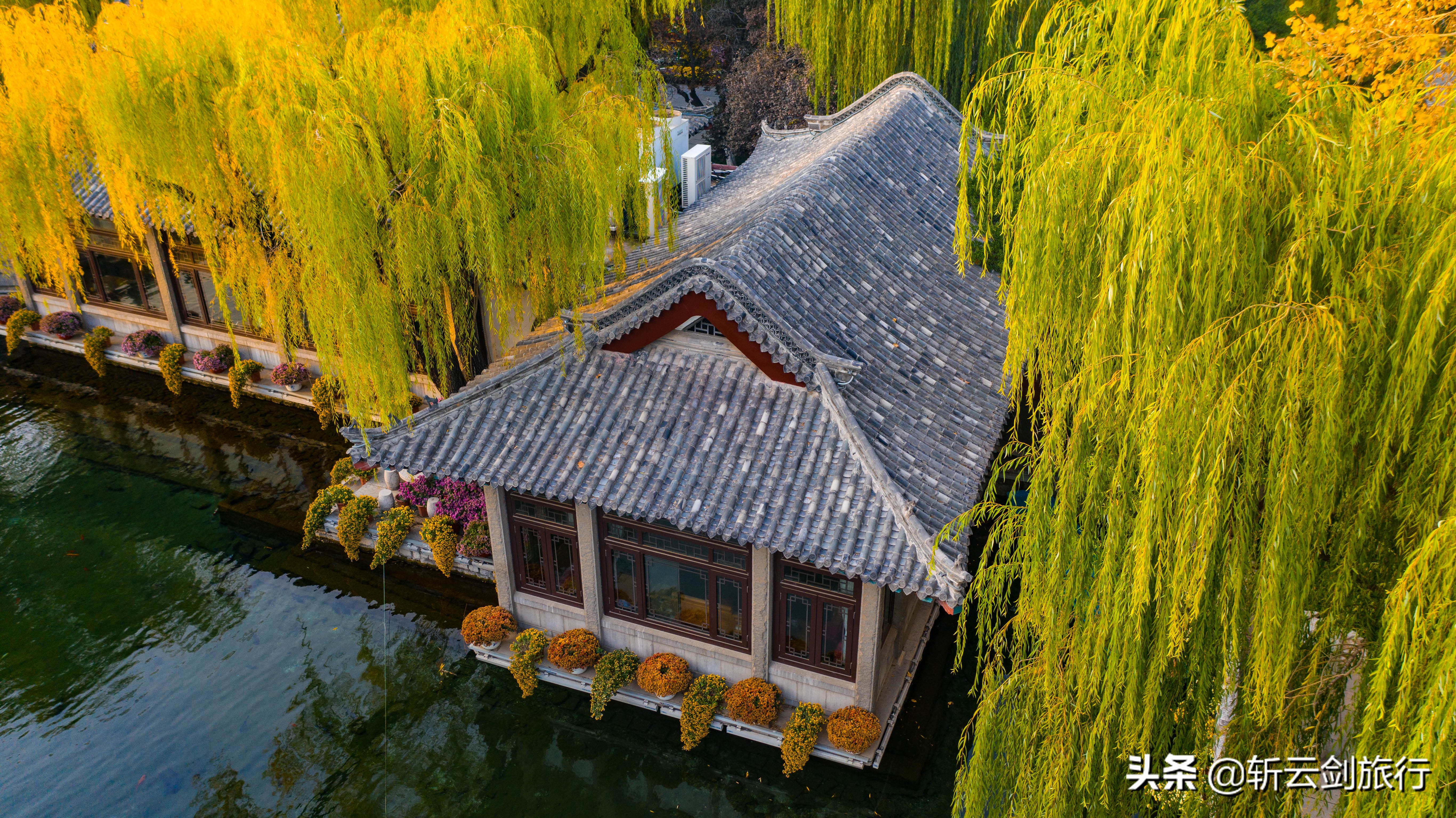 公园年票济南,济南公园通游年票已开始办理