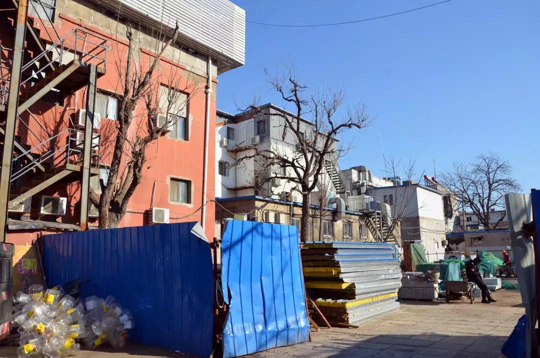 3400平方米蜡烛园亮相，珠市口西大街“颜值”升级