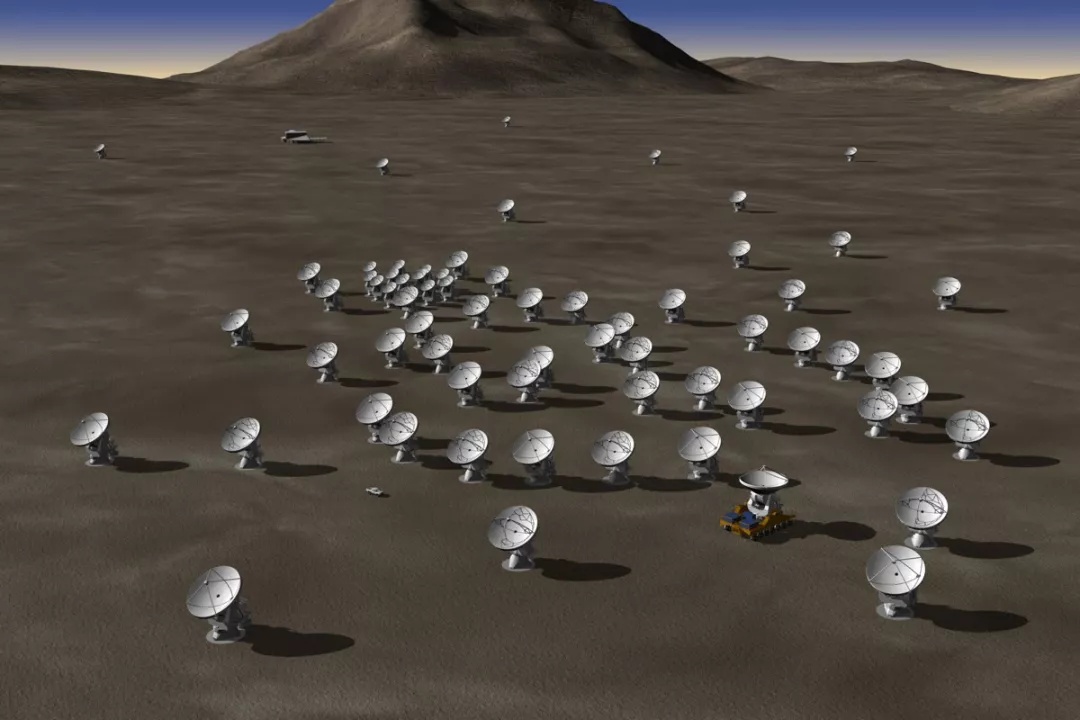 杨斯基的“旋转木马”