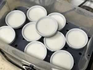 多种可爱的钵仔糕做法,在家就能自制砵仔糕了