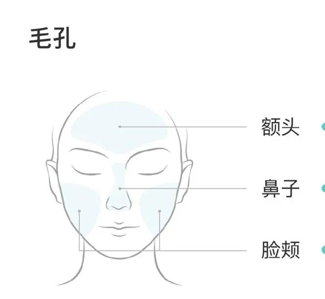 毛孔粗大可以永久缩小吗,毛孔粗大能缩小吗告诉你真相