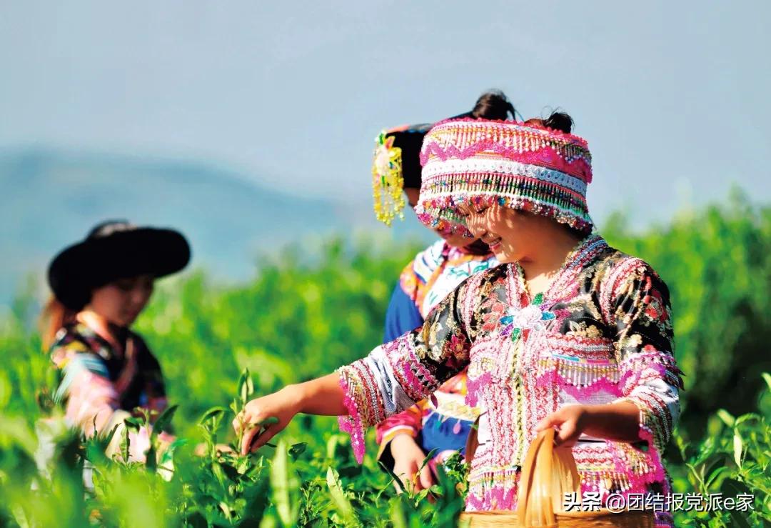 纳雍县政府彭华昌,彭华昌最新采访视频